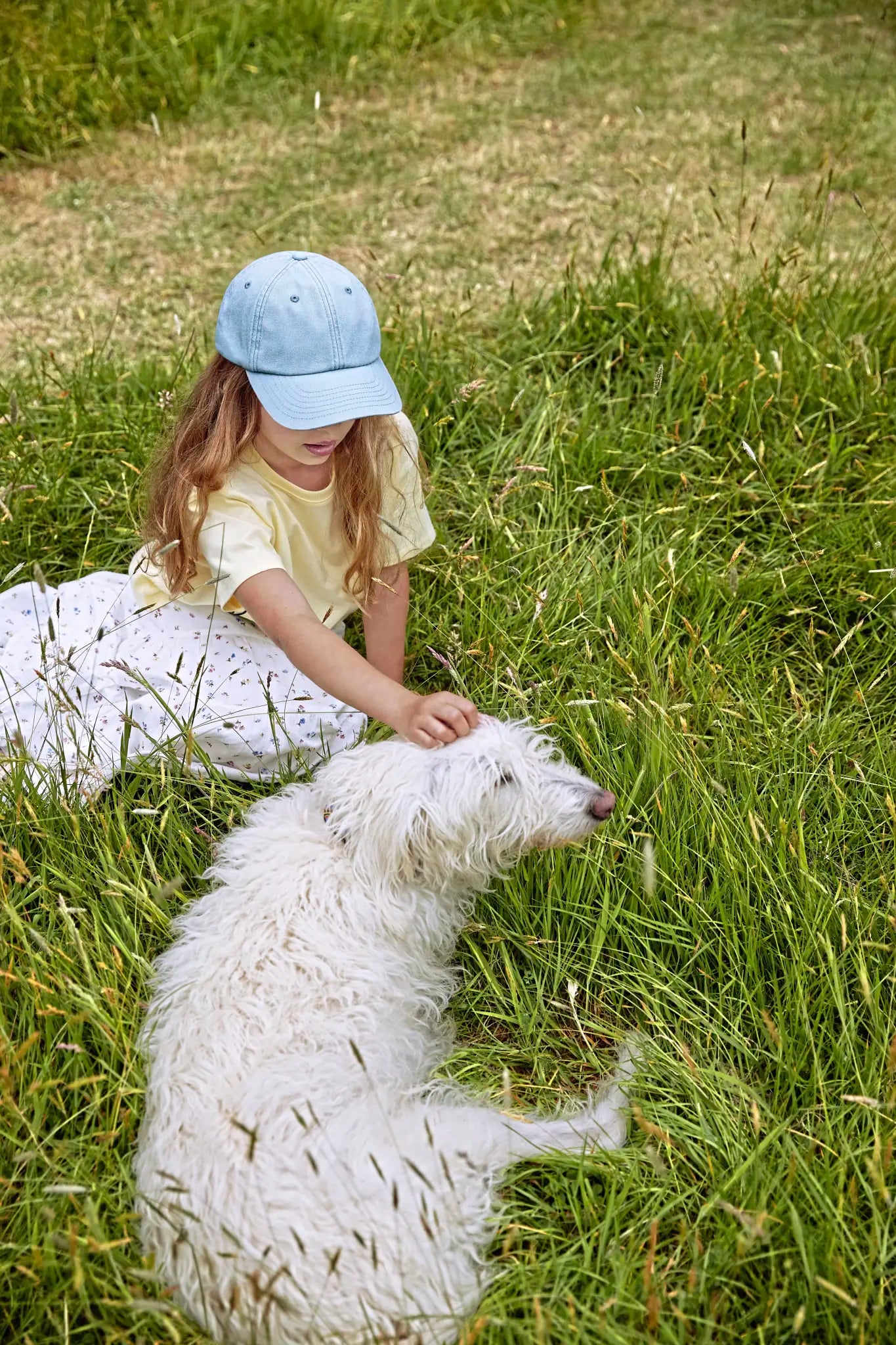 b9cf2c661ce459fbd29841a87181c495