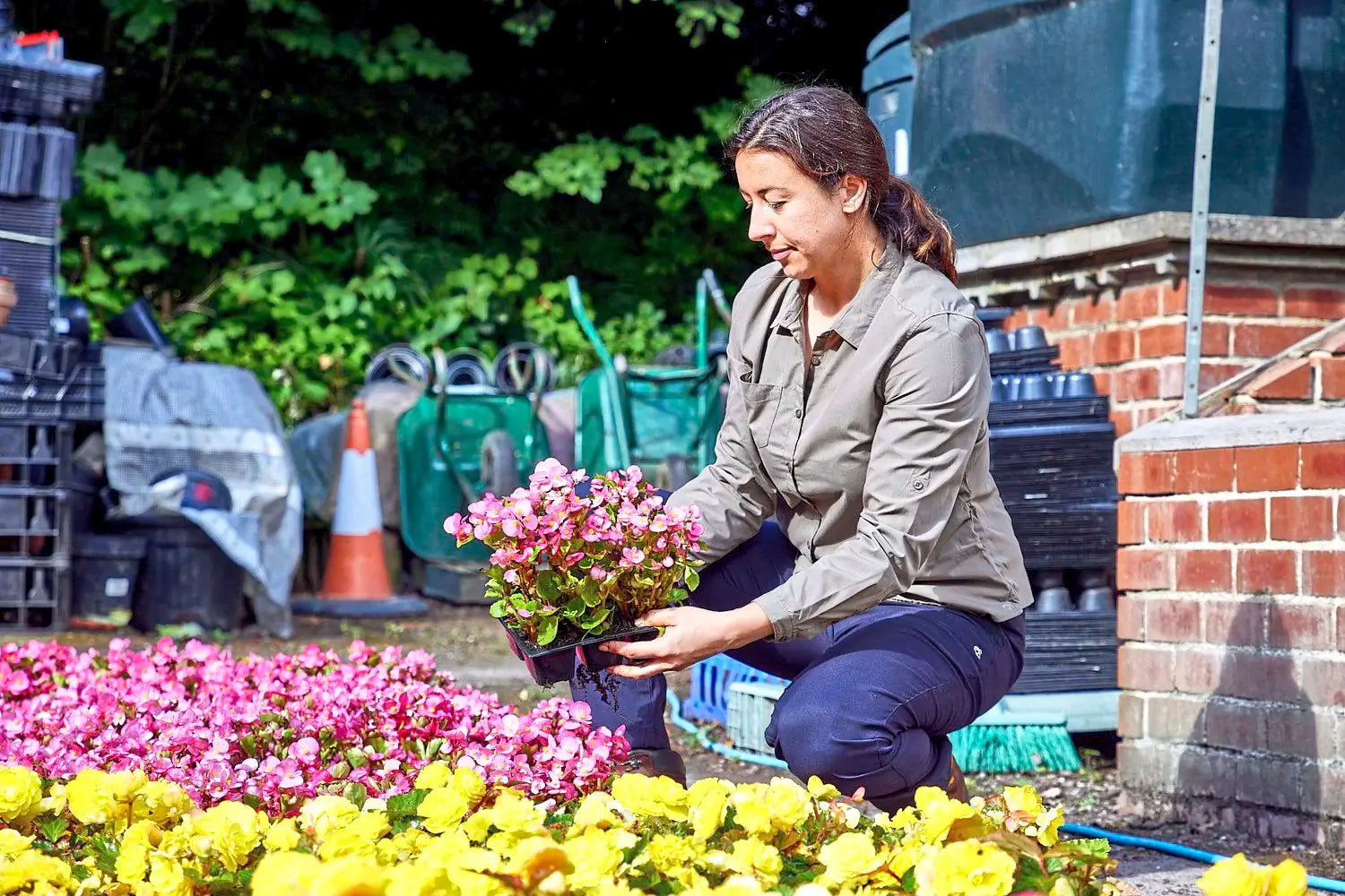 f980d94c6aa521eb18726cd84699bac9