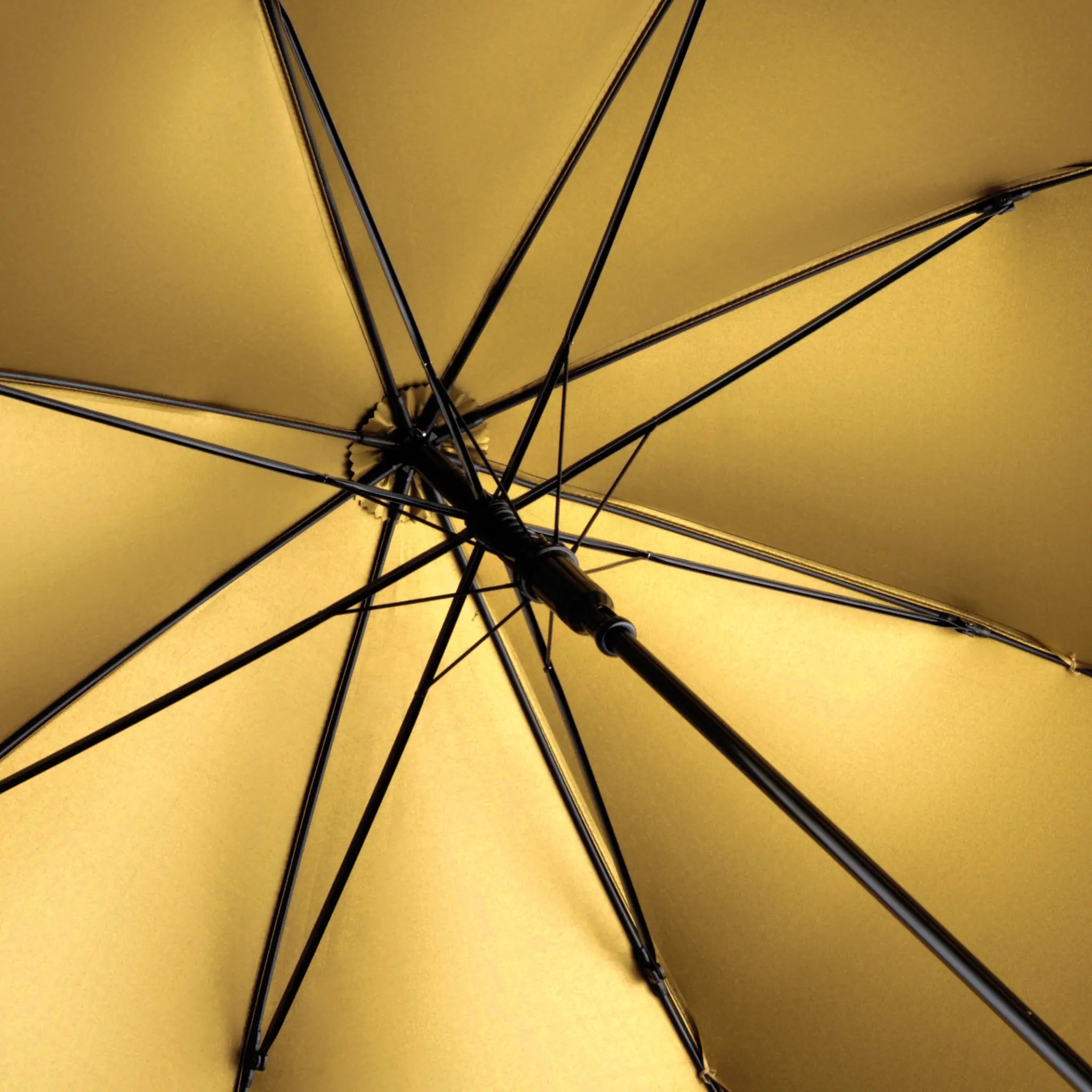 all-groups AC Umbrella FARE Doubleface