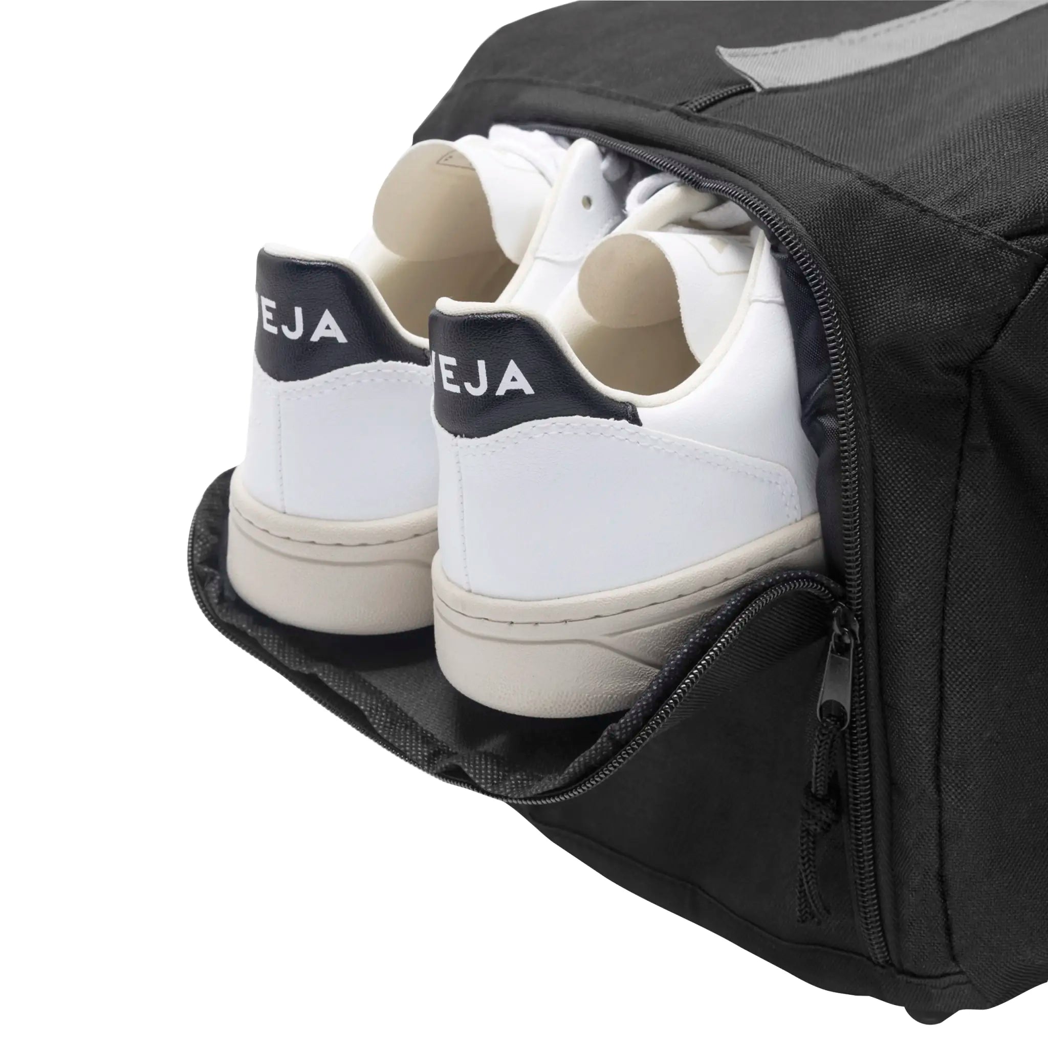 147b8849bccd9485ae9105abd75ea810