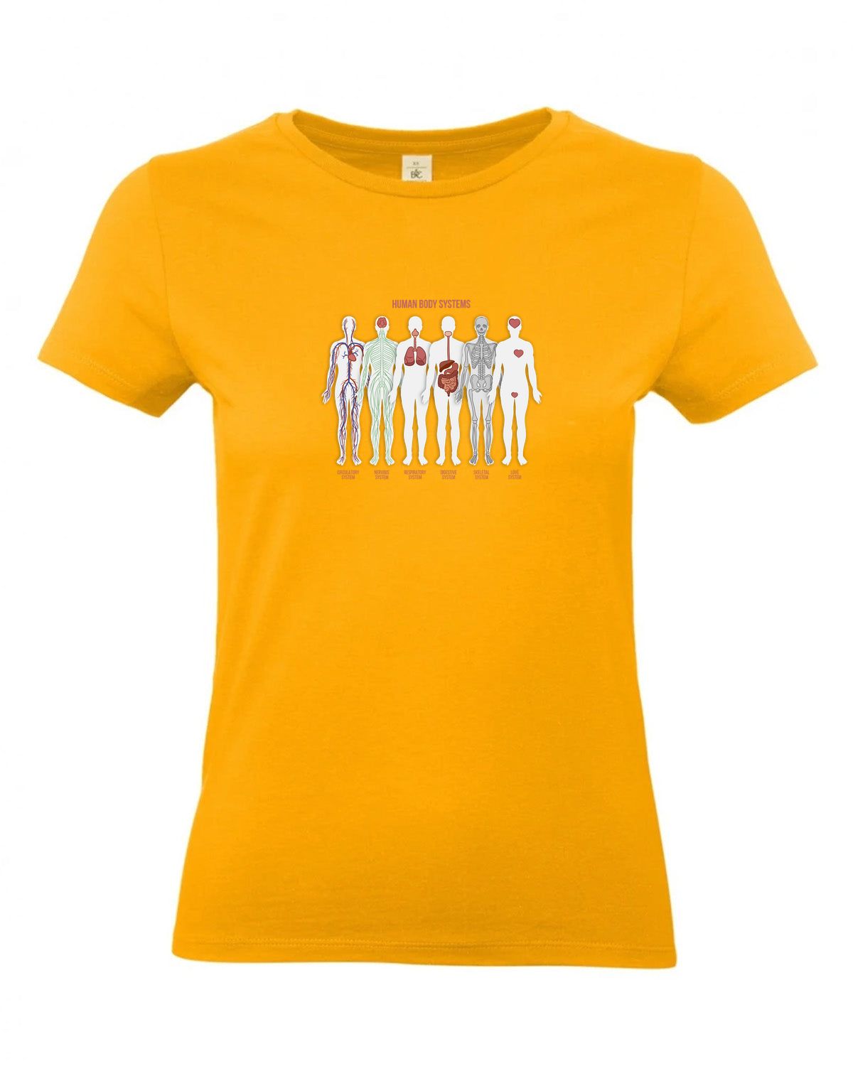 bundle-src:https://cdn.shopify.com/s/files/1/0946/1078/4639/files/TW04T_P_BC_220_01.jpg?v=1772459365