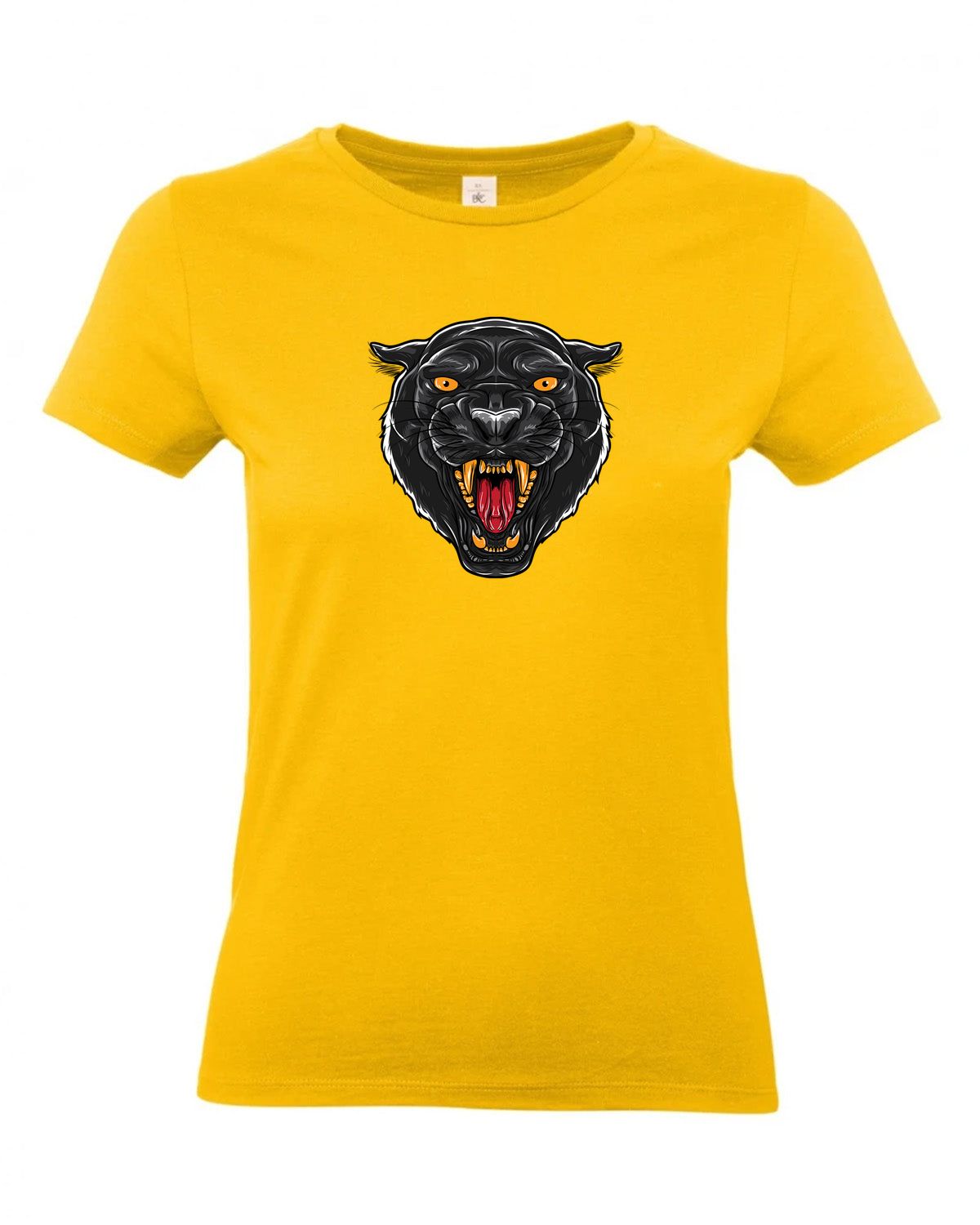 bundle-src:https://cdn.shopify.com/s/files/1/0946/1078/4639/files/TW04T_P_BC_210_01.jpg?v=1772459365