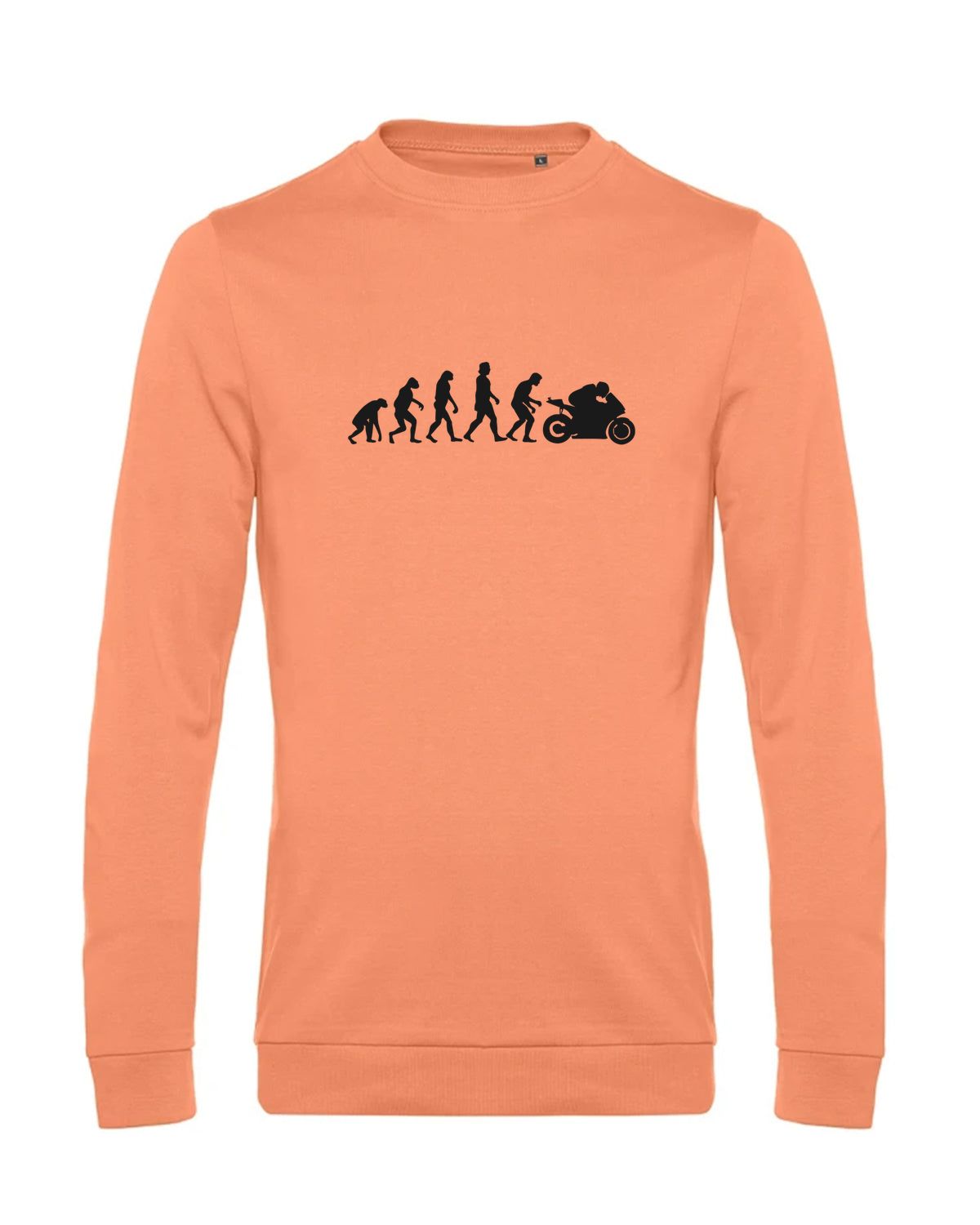 bundle-src:https://cdn.shopify.com/s/files/1/0946/1078/4639/files/WU01W_P_BC_255_01.jpg?v=1772633790