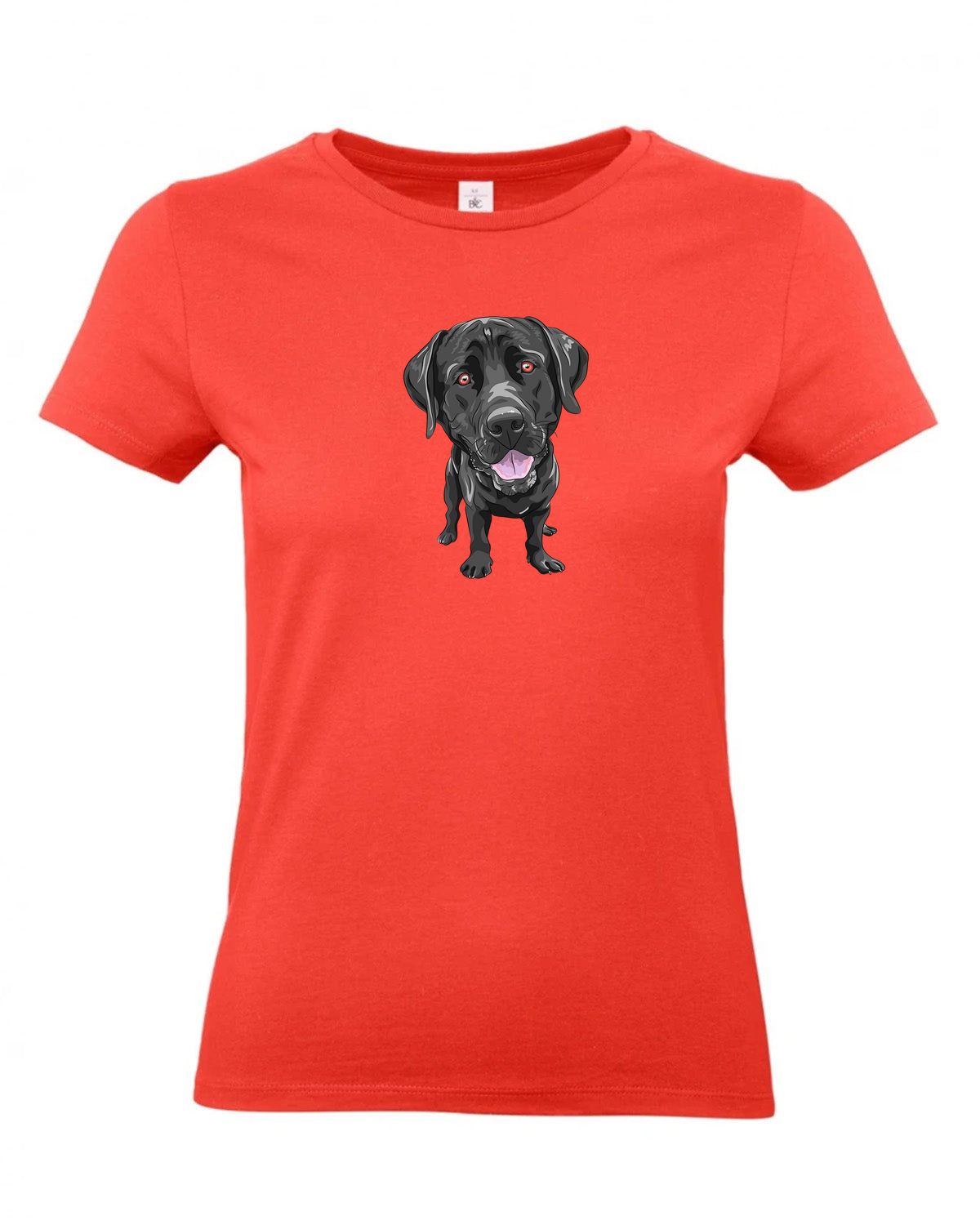 bundle-src:https://cdn.shopify.com/s/files/1/0946/1078/4639/files/TW04T_P_BC_236_01.jpg?v=1772459365