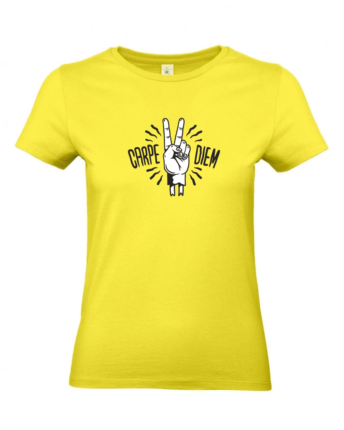 bundle-src:https://cdn.shopify.com/s/files/1/0946/1078/4639/files/TW04T_P_BC_201_01.jpg?v=1772459365