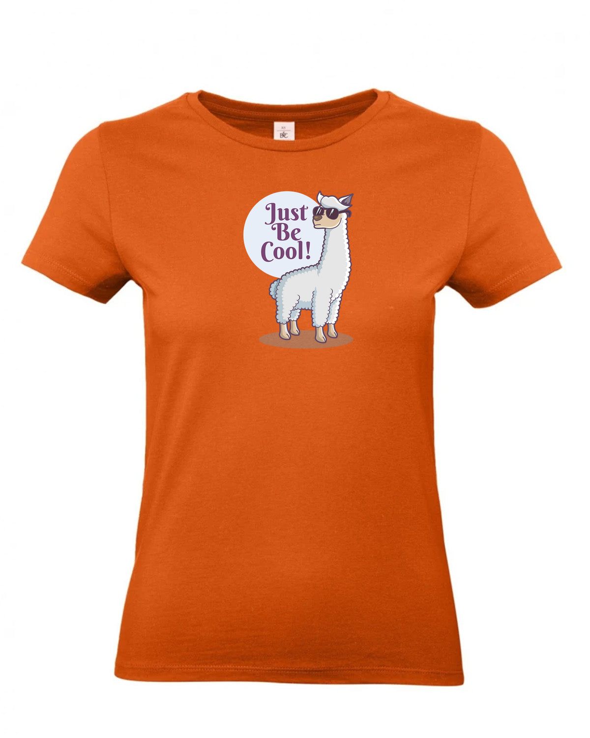 bundle-src:https://cdn.shopify.com/s/files/1/0946/1078/4639/files/TW04T_P_BC_231_01.jpg?v=1772459365