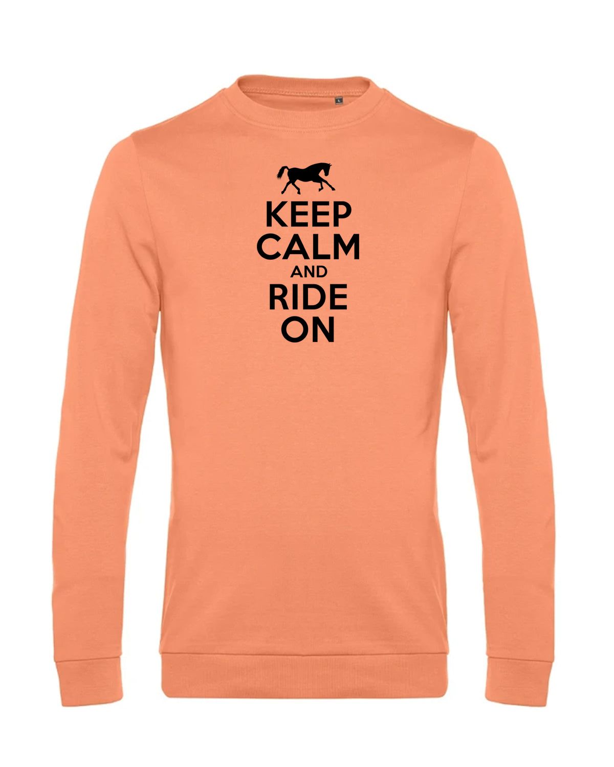 bundle-src:https://cdn.shopify.com/s/files/1/0946/1078/4639/files/WU01W_P_BC_255_01.jpg?v=1772633790