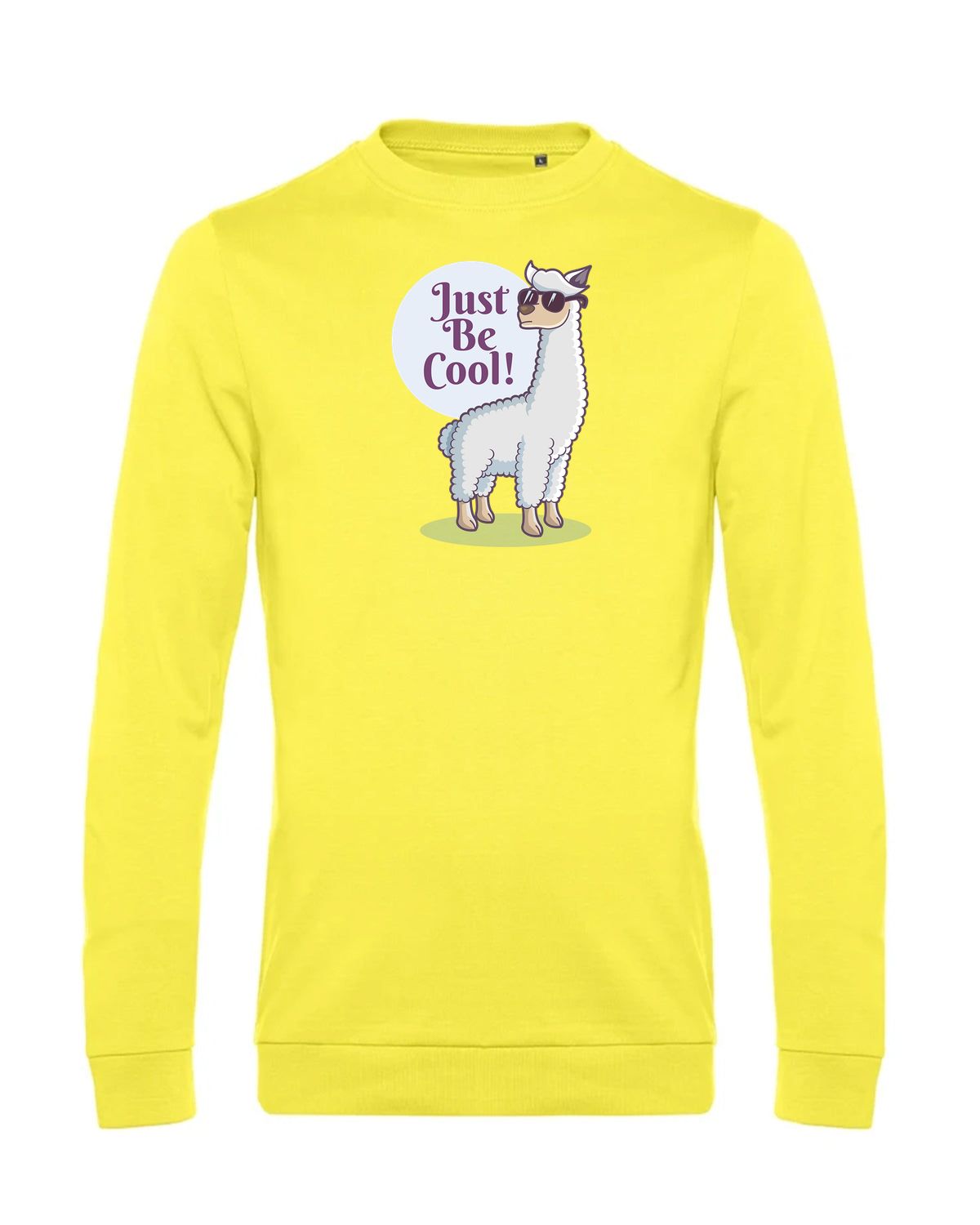 bundle-src:https://cdn.shopify.com/s/files/1/0946/1078/4639/files/WU01W_P_BC_201_01.jpg?v=1772633790