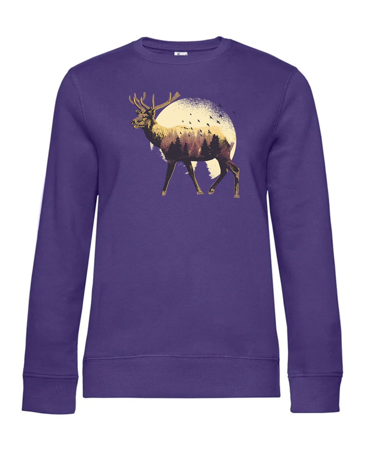 bundle-src:https://cdn.shopify.com/s/files/1/0946/1078/4639/files/WW01Q_P_BC_351_01.jpg?v=1773217929