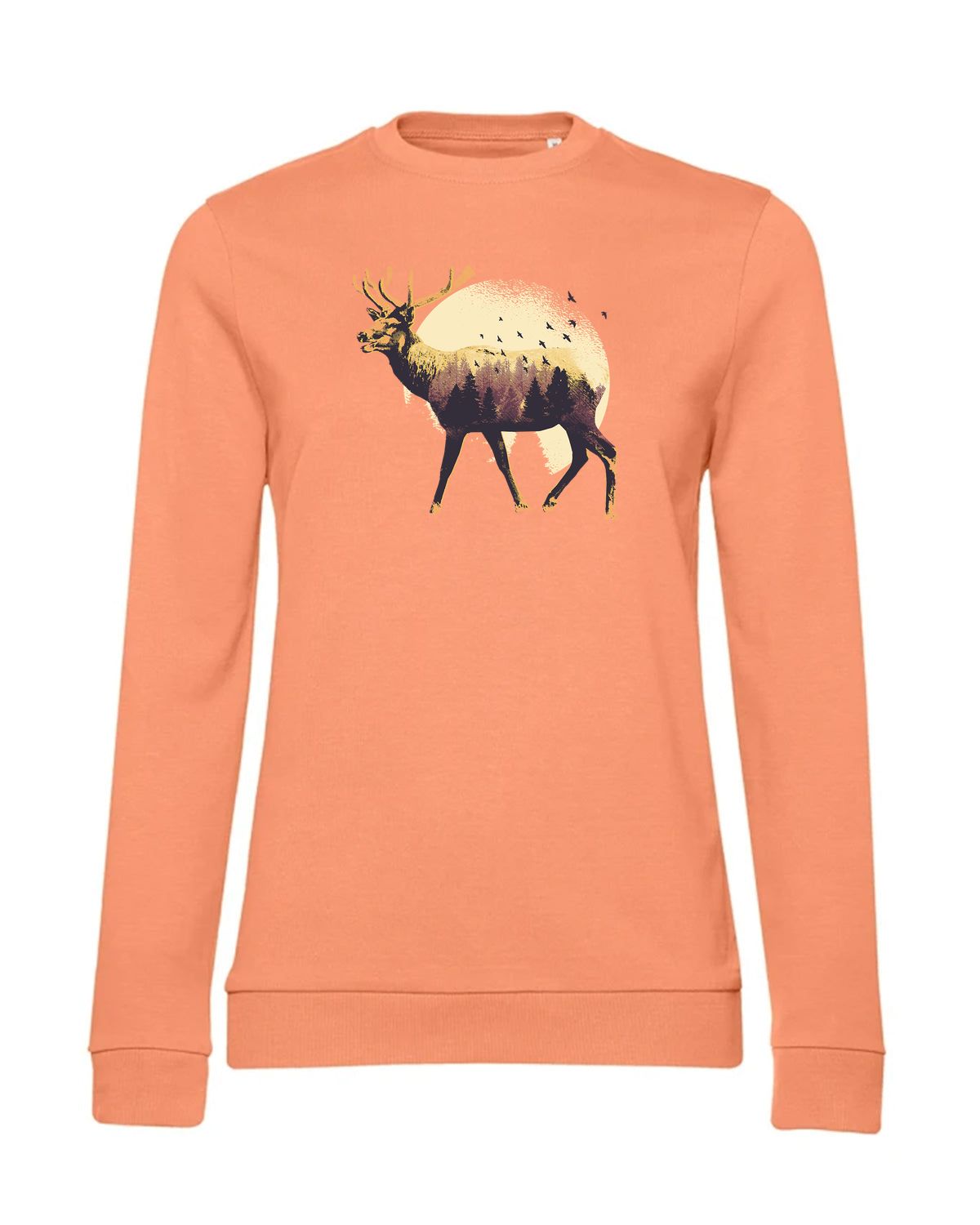 bundle-src:https://cdn.shopify.com/s/files/1/0946/1078/4639/files/WW02W_P_BC_255_01.jpg?v=1773067021