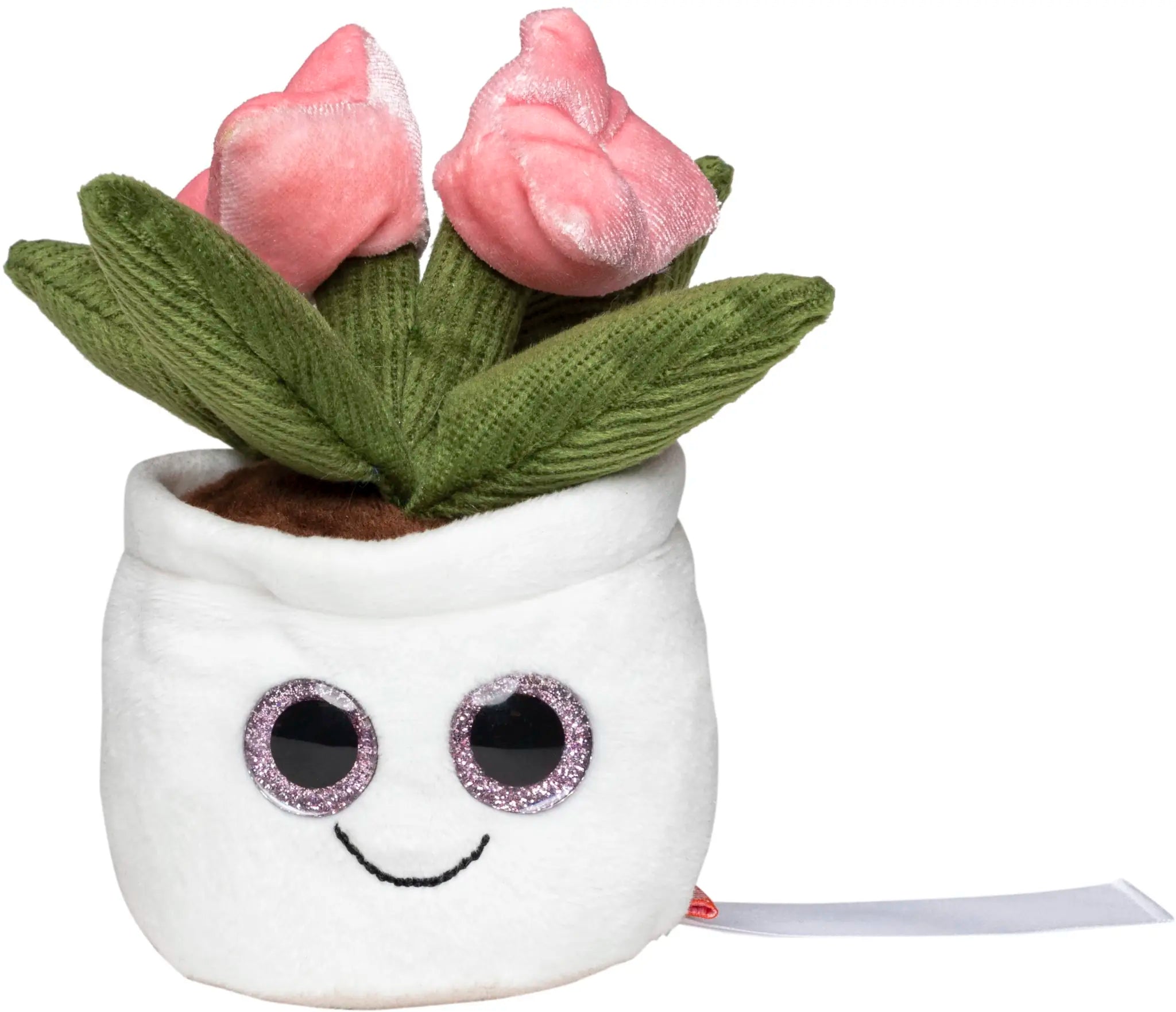 all-groups Schmoozies Evergreenies Tulip