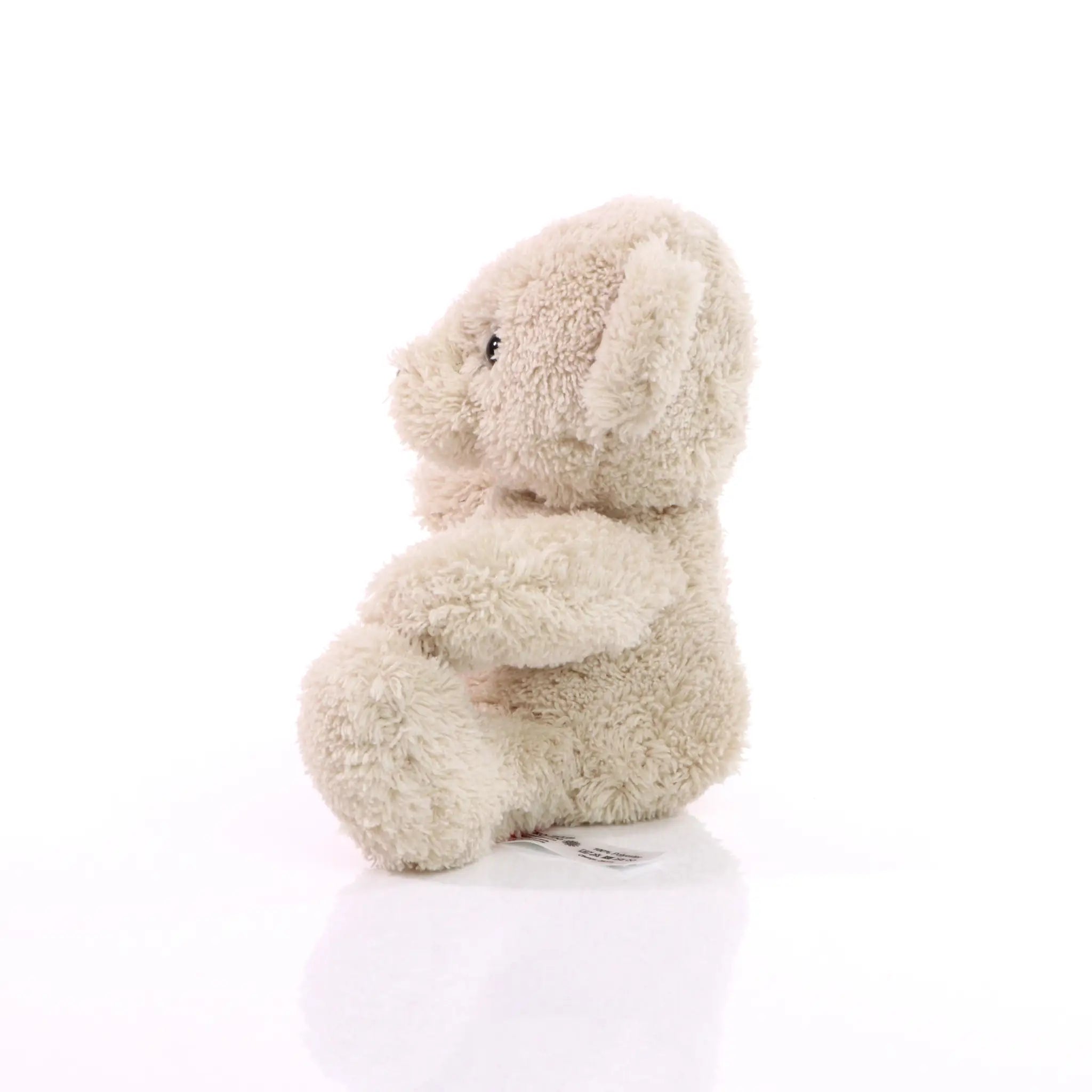 all-groups MiniFeet Bear Merle