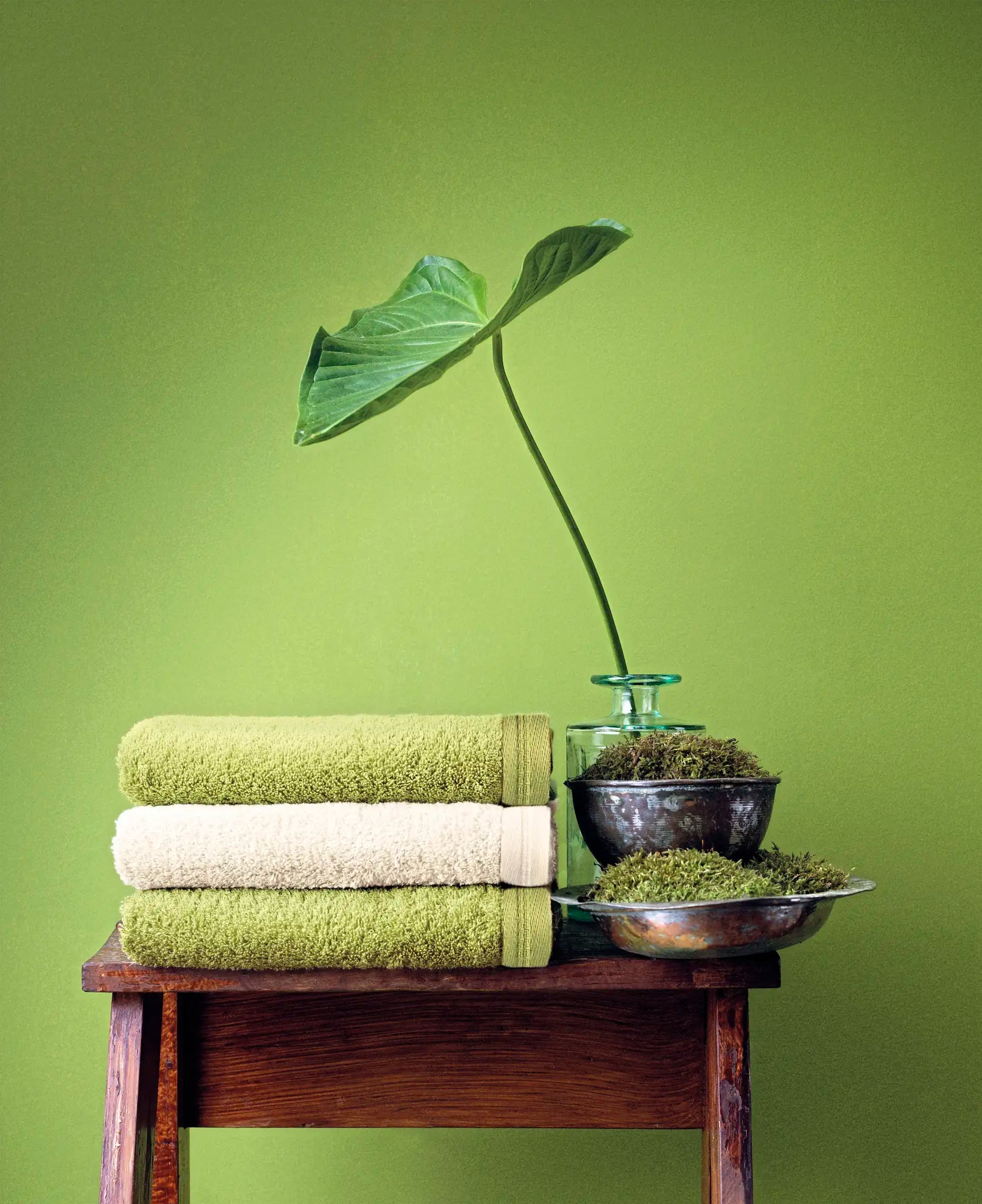 13bc798ea0947e83d3bd110dd42c55e1