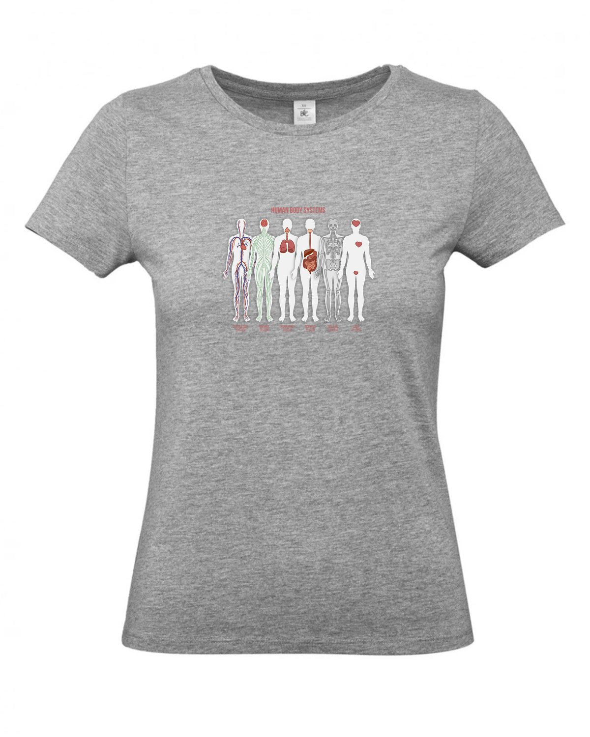 bundle-src:https://cdn.shopify.com/s/files/1/0946/1078/4639/files/TW04T_P_BC_620_01.jpg?v=1772459365