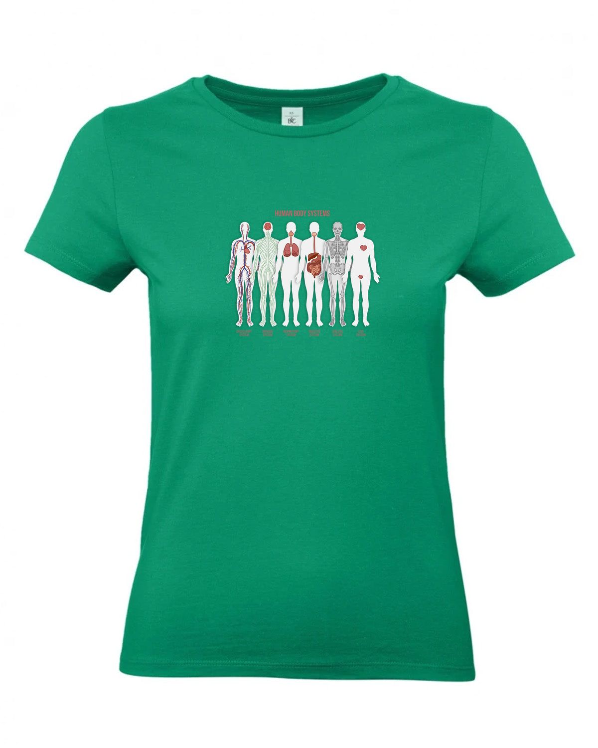 bundle-src:https://cdn.shopify.com/s/files/1/0946/1078/4639/files/TW04T_P_BC_520_01.jpg?v=1772459365