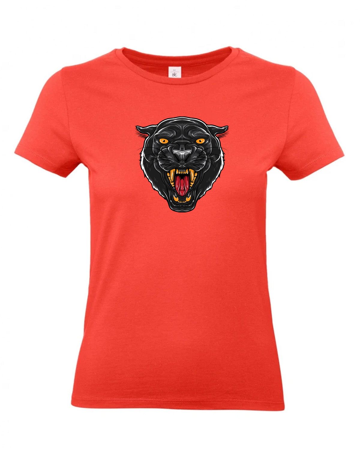 bundle-src:https://cdn.shopify.com/s/files/1/0946/1078/4639/files/TW04T_P_BC_236_01.jpg?v=1772459365