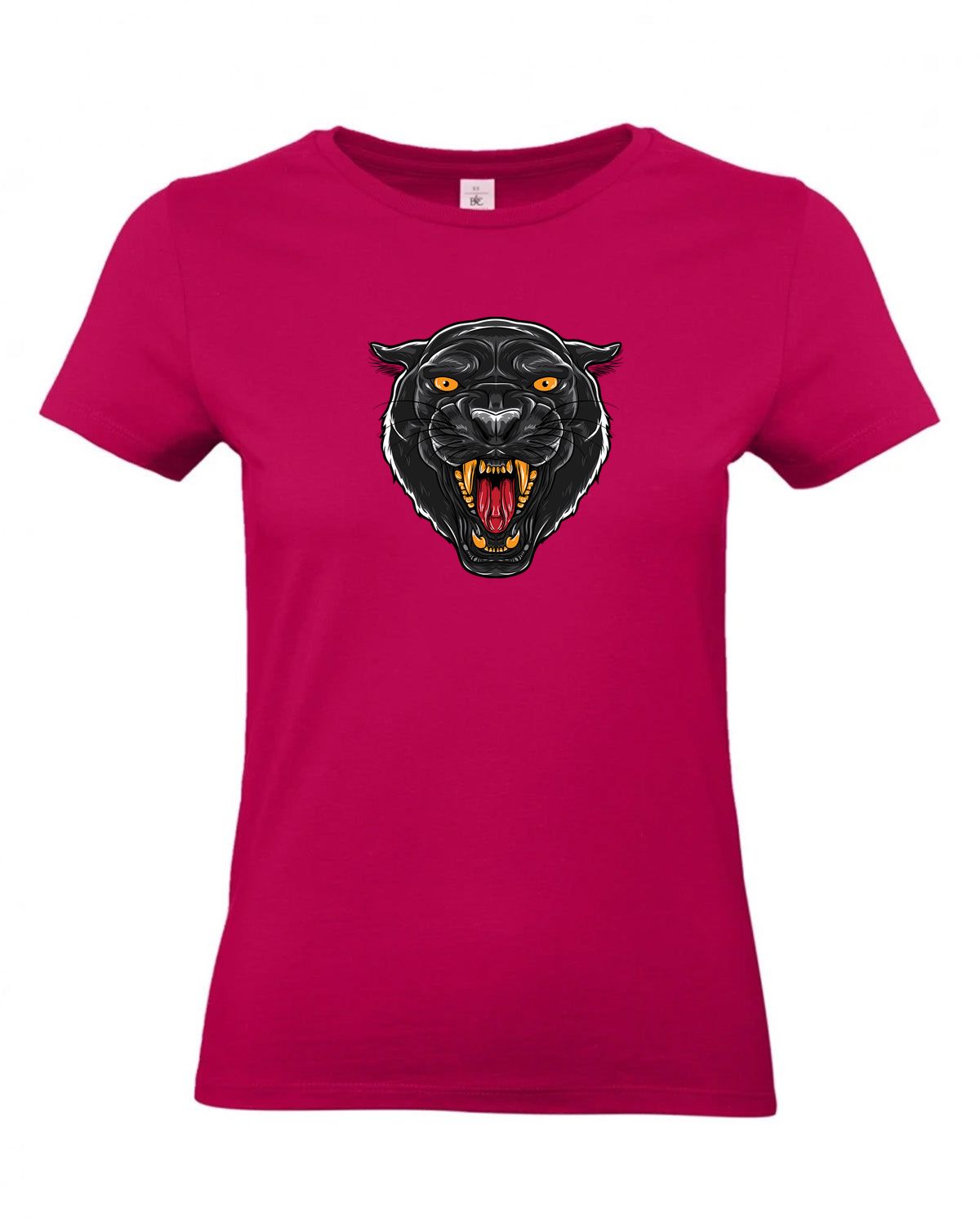 bundle-src:https://cdn.shopify.com/s/files/1/0946/1078/4639/files/TW04T_P_BC_311_01.jpg?v=1772459365