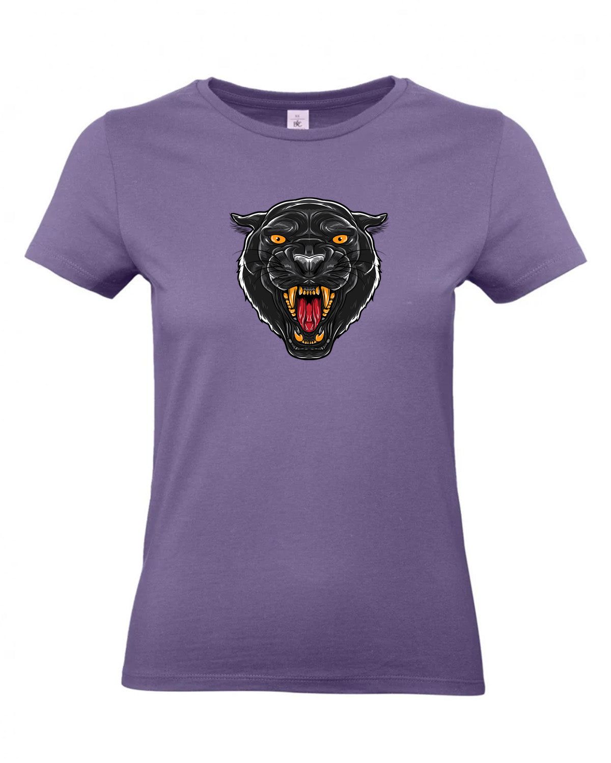 bundle-src:https://cdn.shopify.com/s/files/1/0946/1078/4639/files/TW04T_P_BC_341_01.jpg?v=1772459365