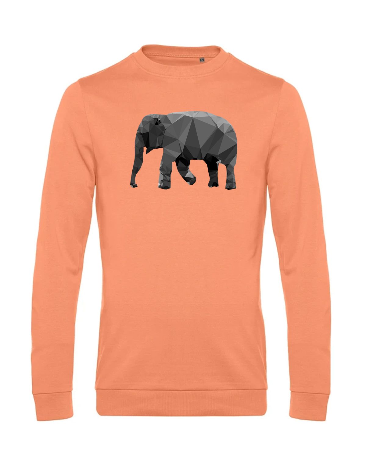 bundle-src:https://cdn.shopify.com/s/files/1/0946/1078/4639/files/WU01W_P_BC_255_01.jpg?v=1772633790