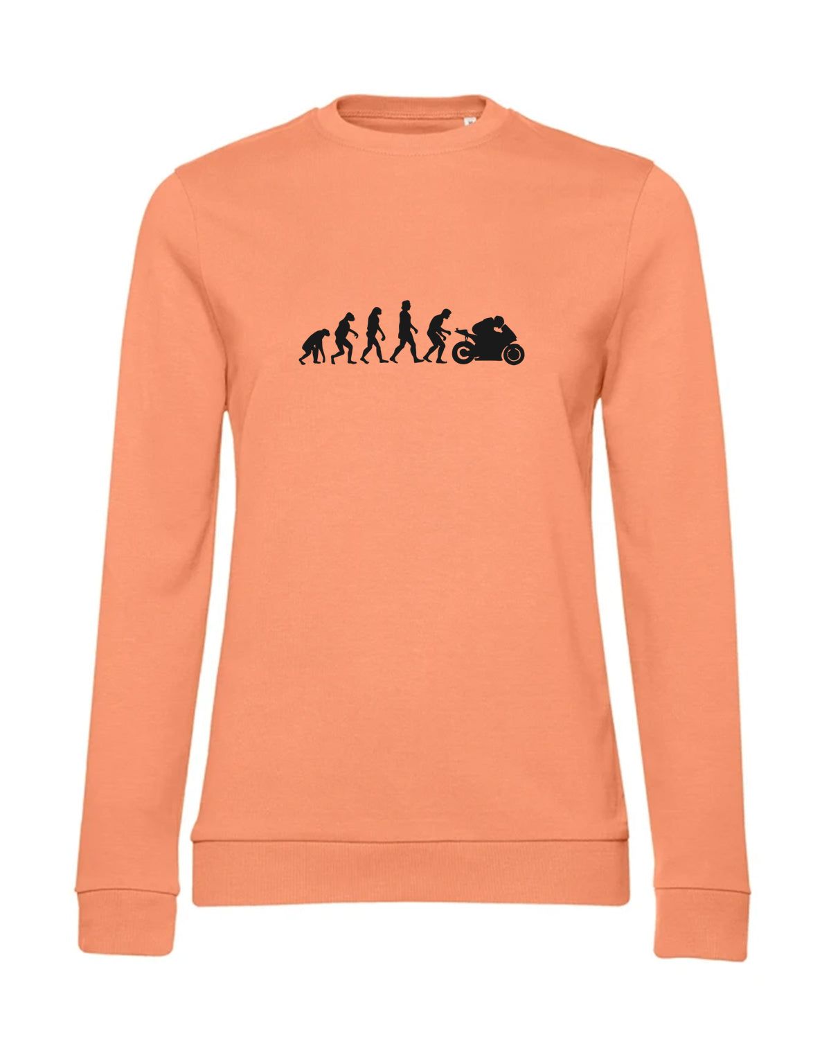 bundle-src:https://cdn.shopify.com/s/files/1/0946/1078/4639/files/WW02W_P_BC_255_01.jpg?v=1773067021