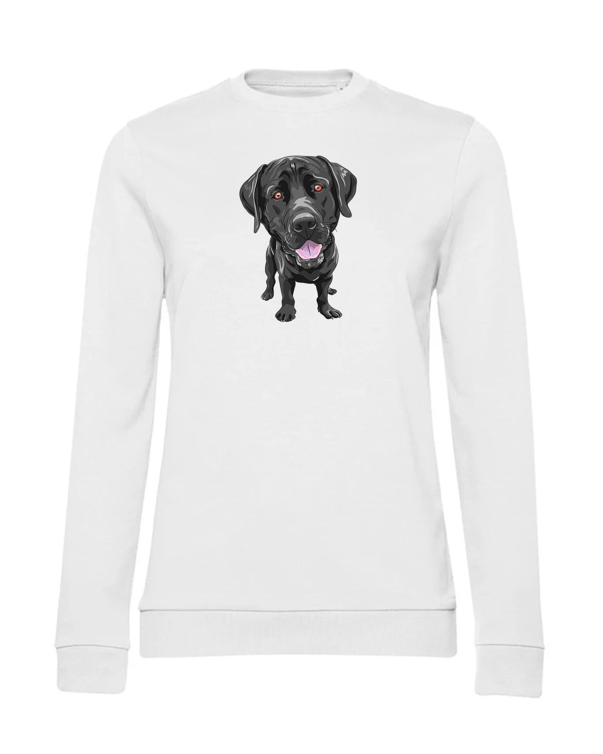 bundle-src:https://cdn.shopify.com/s/files/1/0946/1078/4639/files/WW02W_P_BC_001_01_609cf9c8-d59d-4c1b-93f9-664d00d237fe_2048x2048.jpg?v=1773067021