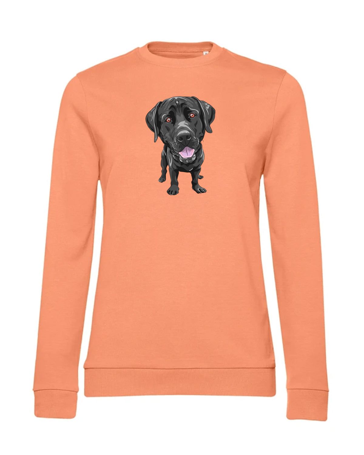 bundle-src:https://cdn.shopify.com/s/files/1/0946/1078/4639/files/WW02W_P_BC_255_01.jpg?v=1773067021