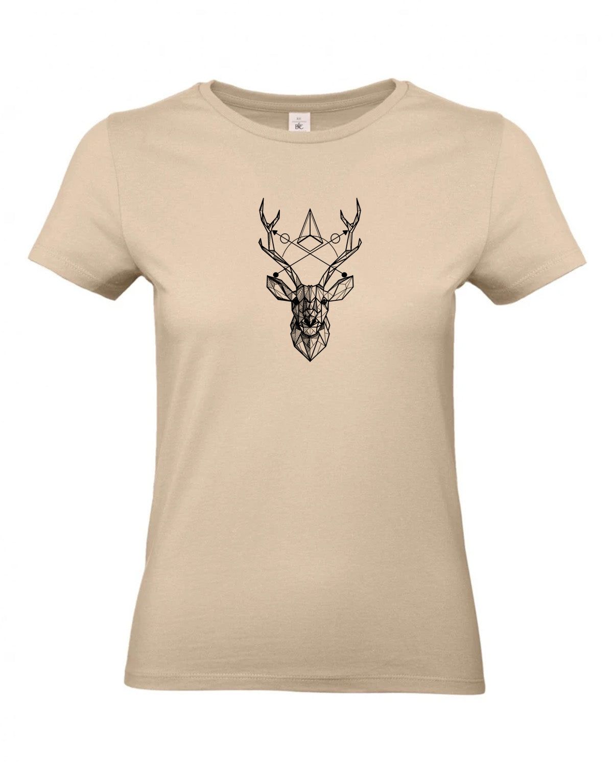 bundle-src:https://cdn.shopify.com/s/files/1/0946/1078/4639/files/TW04T_P_BC_120_01.jpg?v=1772459365