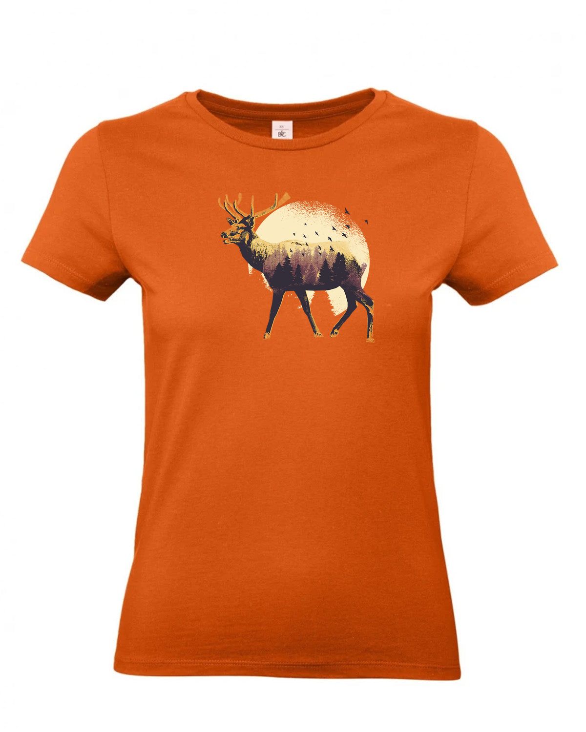 bundle-src:https://cdn.shopify.com/s/files/1/0946/1078/4639/files/TW04T_P_BC_231_01.jpg?v=1772459365