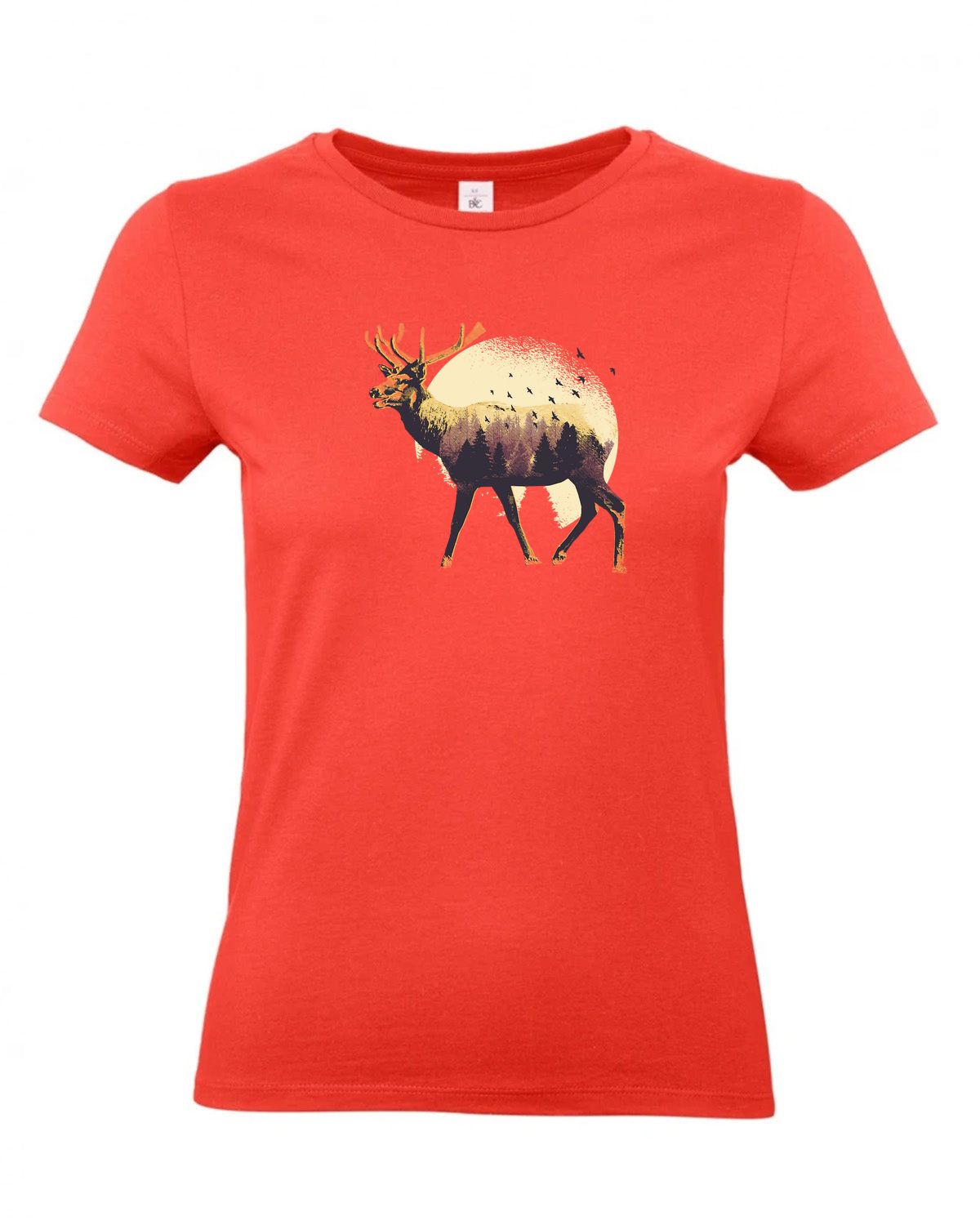 bundle-src:https://cdn.shopify.com/s/files/1/0946/1078/4639/files/TW04T_P_BC_236_01.jpg?v=1772459365