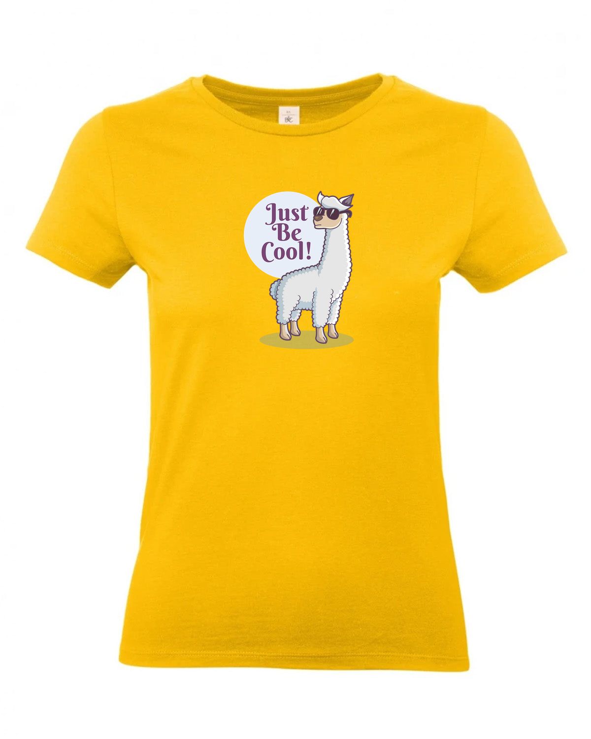 bundle-src:https://cdn.shopify.com/s/files/1/0946/1078/4639/files/TW04T_P_BC_210_01.jpg?v=1772459365