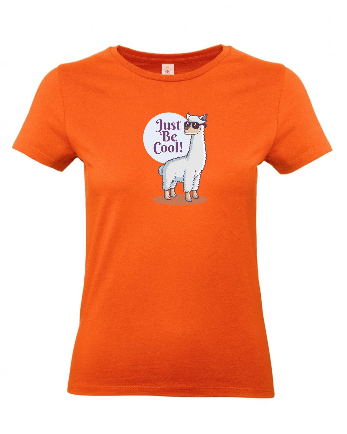 bundle-src:https://cdn.shopify.com/s/files/1/0946/1078/4639/files/TW04T_P_BC_235_01.jpg?v=1772459365